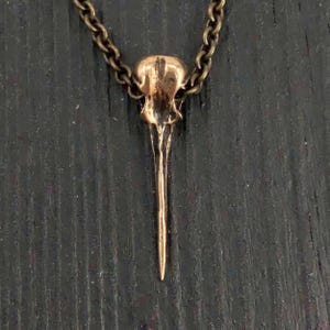 Collar de calavera de colibrí garganta rubí de bronce macizo