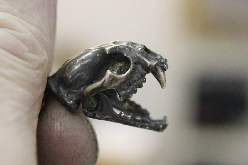 Cat Skull Necklace Wid Cat Skull With Articulated Jaw Etsy