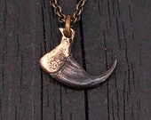Cat Claw Necklace Bronze Bobcat Claw Pendant Necklace