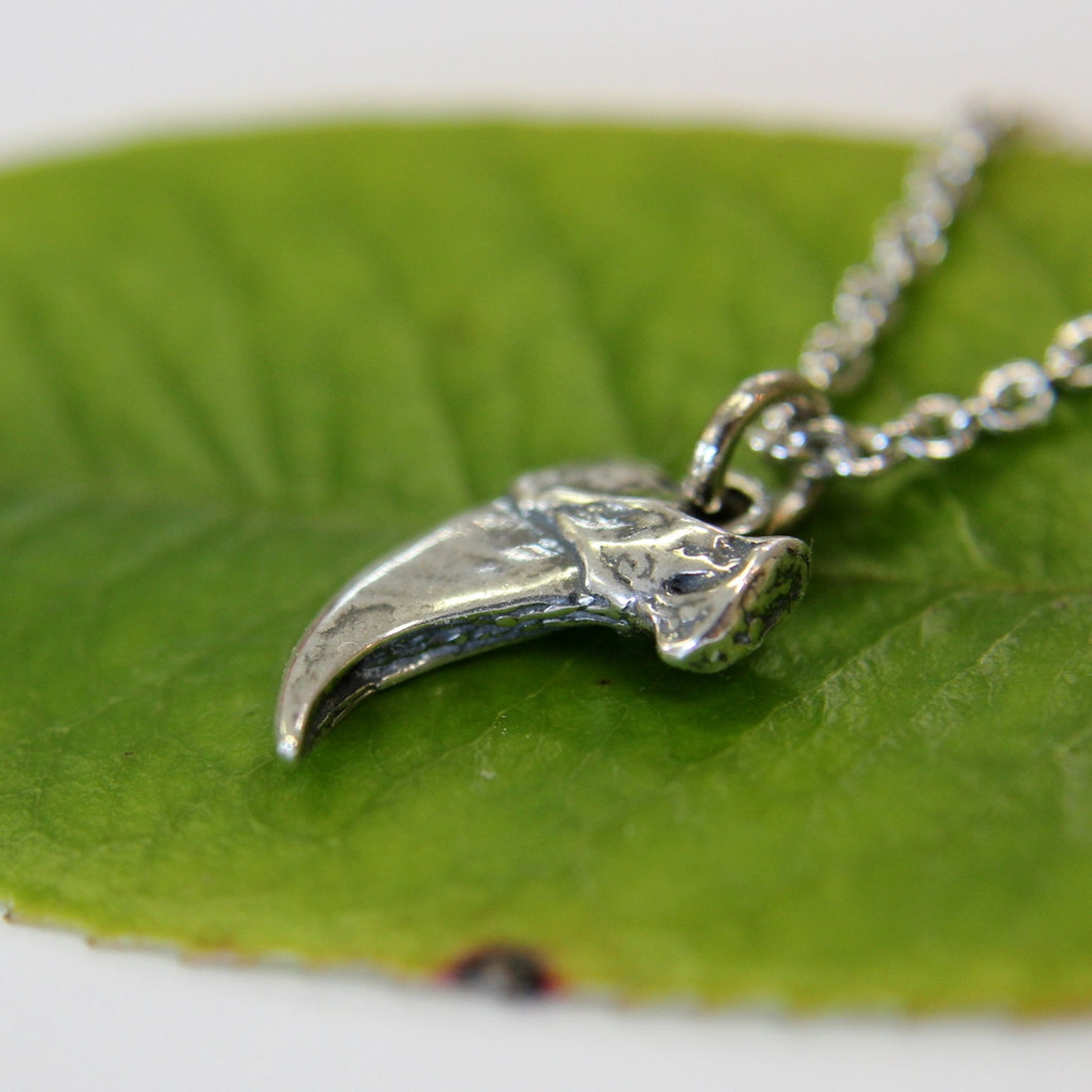 Domestic House Cat Claw Charm Necklace Solid Sterling Silver Etsy