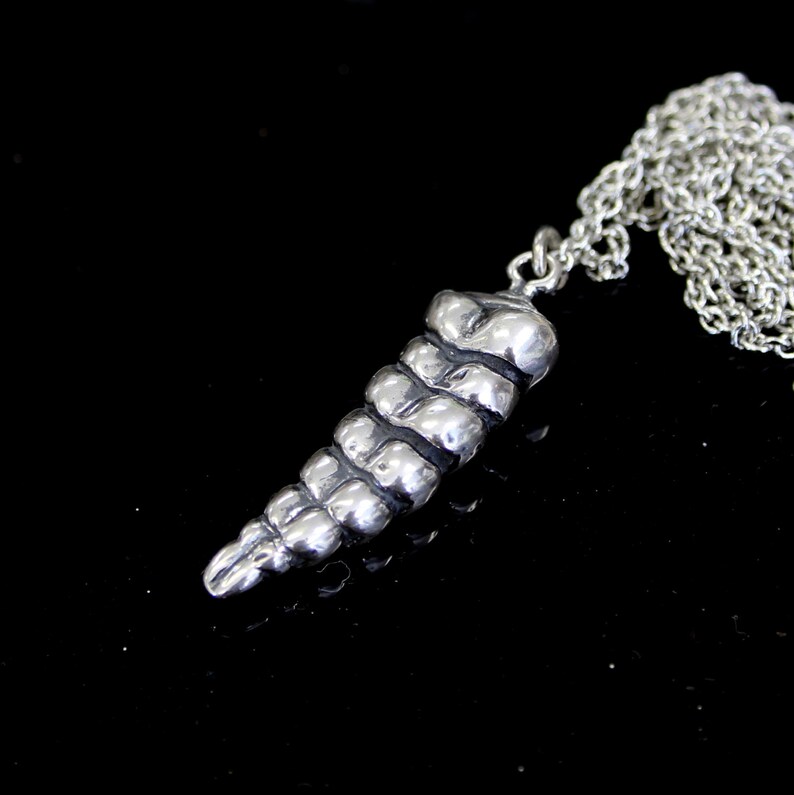 Rattlesnake Tail Necklace in Solid Sterling Silver Rattlesnake Etsy