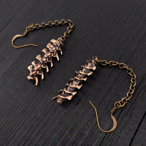 May include: A pair of long, dangling earrings featuring a detailed bronze spine bone charm attached to a brass chain. The earrings have a hook closure.