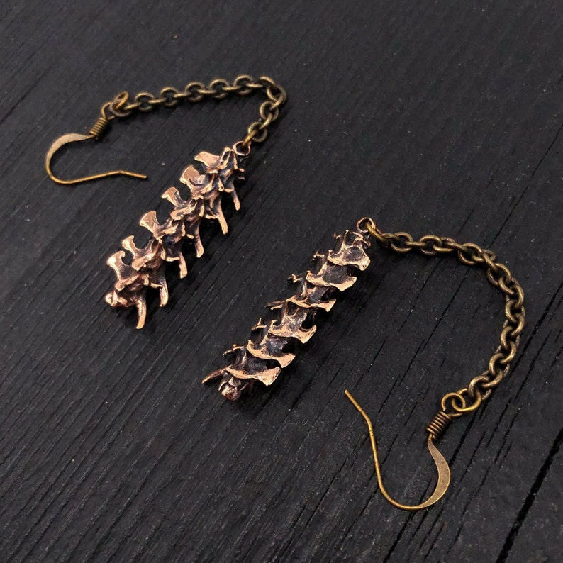 May include: A pair of long, dangling earrings featuring a detailed bronze spine bone charm attached to a brass chain. The earrings have a hook closure.