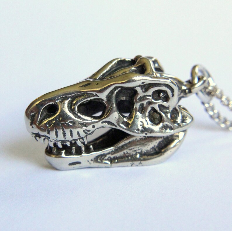 Dinosaur Skull Necklace Silver Pendant Image 0