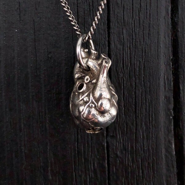 Anatomical Heart Cremation Necklace in Solid 925 Sterling Silver Human Heart Cremation Urn Pendant Memorial Jewelry