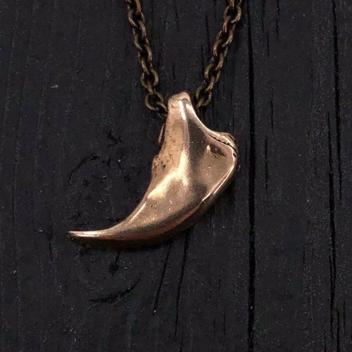 Small Black Bear Claw Pendant Necklace 