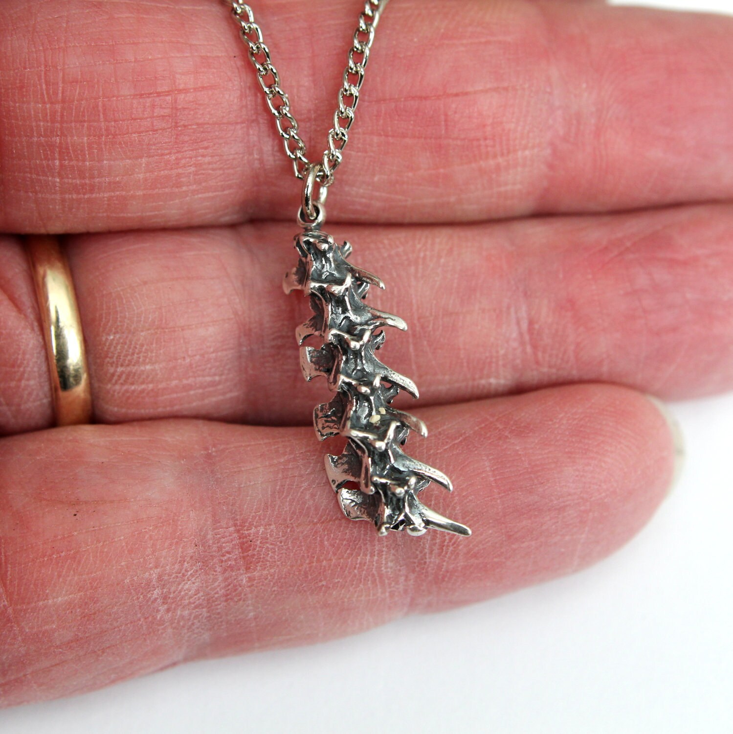 Snake Vertebrae Necklace Silver Rattlesnake Vertebrae Pendant Etsy