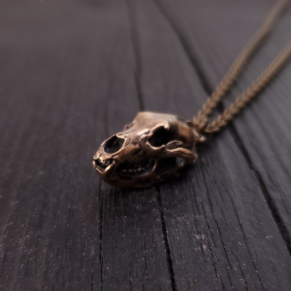 Collier tête de mort d'ours grizzly – Bronze massif moulé à la main – Détails tridimensionnels – Finition oxydée polie – Plusieurs longueurs de chaîne