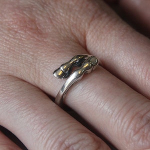 Horse Hoof Ring in Solid White Bronze with Sterling Silver Overlay image 3