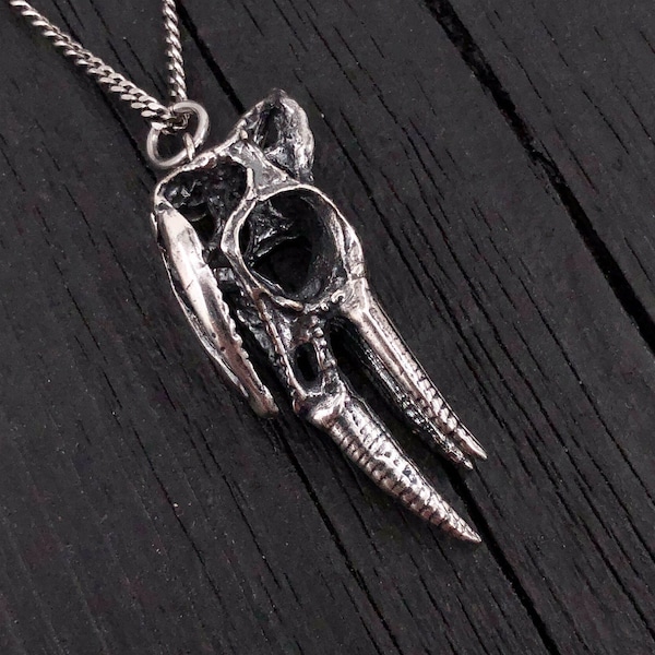 Jackson's Chameleon Skull Pendant Charm Necklace - Solid Hand Cast Silver Plated White Bronze Lizard Head - Reptile Jewelry Gift