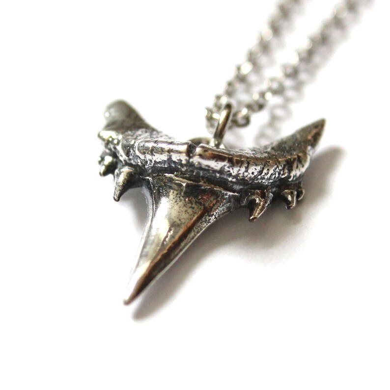 Silver Fossilized Shark Tooth Necklace 60 Million Year Old | Etsy