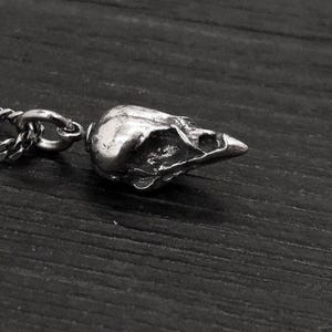 Tiny Sparrow Skull Charm Necklace - Solid Cast Silver Plated Bronze - Bird Skull Jewelry