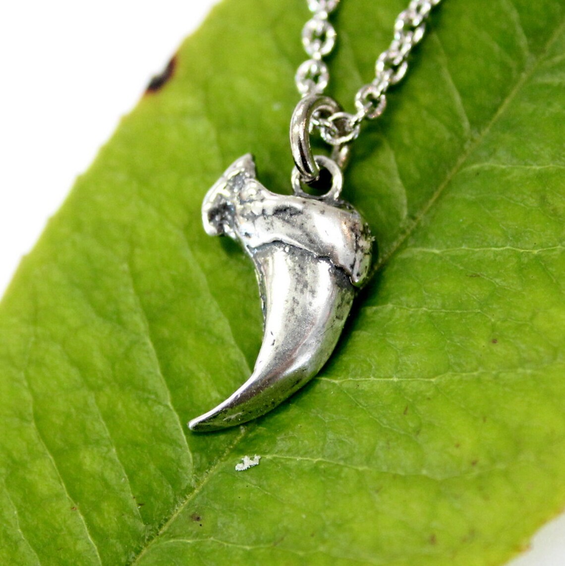 Domestic House Cat Claw Charm Necklace Solid Sterling Silver Etsy