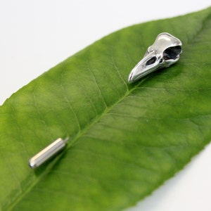 Sterling Silver Raven Skull Ascot Pin: Bird Skull Lapel Stickpin