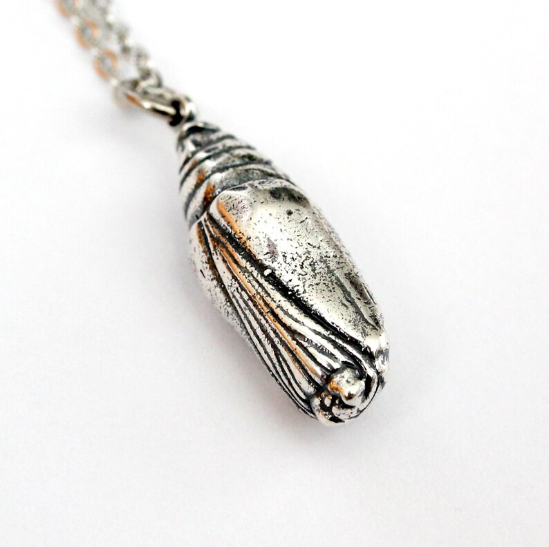 Butterfly Cocoon Necklace Butterfly Chrysalis Silver Pupa Etsy