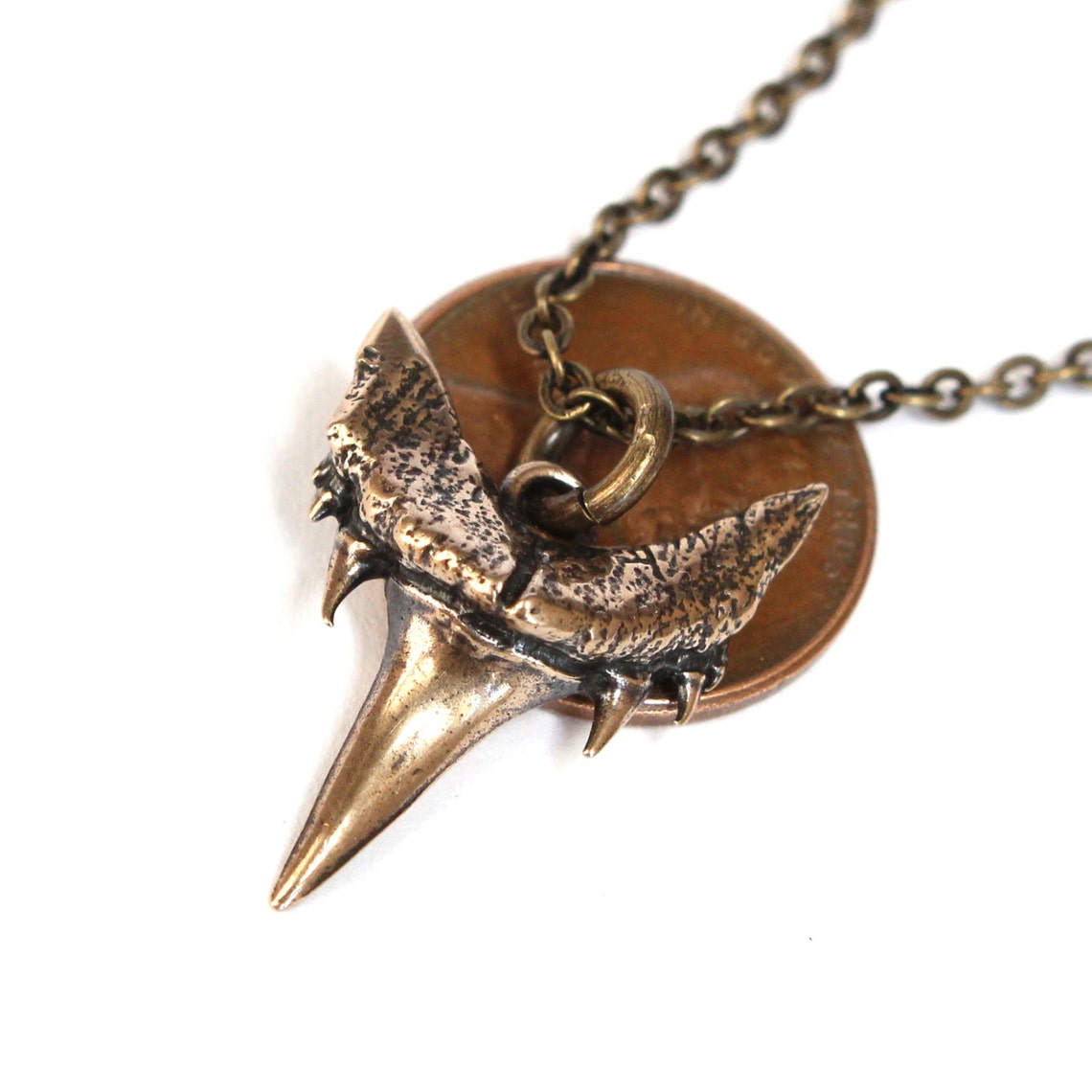 Solid Bronze Fossilized Shark Tooth Necklace 60 Million Year | Etsy