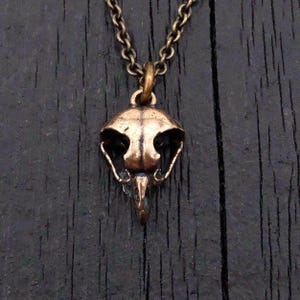 Owl Skull Necklace in Solid Bronze