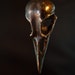 see more listings in the Birds/Bird Skulls section