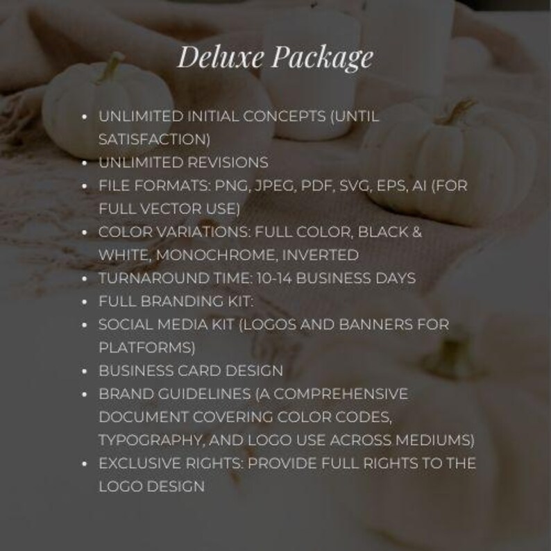 Custom Logo Design – Standard Package for Small Businesses and ...