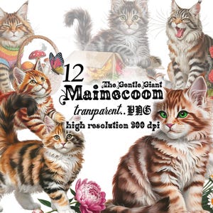 12 cliparts d'amoureux des chats du Mainecoon PNG | Chats pelucheux mignons | Art de sublimation d'animal de compagnie sauvage