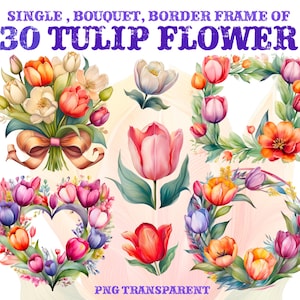30 Beautiful Tulip PNG Clipart – High-Res Transparent Tulip Flowers, Watercolor‑Inspired Floral Bundle for DIY, Weddings & Spring Designs