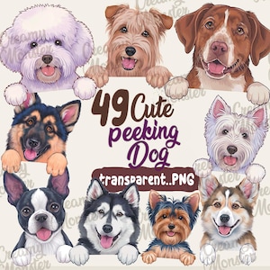 49 Süßer spähender Hund - Transparente PNG mit hoher Auflösung