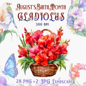 Gladiolus Flower Clipart Bundle – August Birth Month Flower 28 High-Quality Transparent PNGs and 2JPG landscape for Crafts & Cards