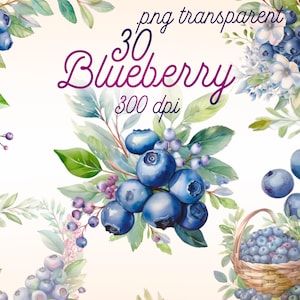 Blueberry Clipart Bundle PNG | 30 High-Quality Blueberry Fruit Images | Transparent Background | Digital Download for Crafts