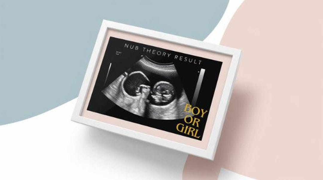 NUB THEORY PREDICTOR baby Gender Etsy