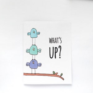 What's Up? Bird Card & Envelope, Thinking of You - Free Shipping