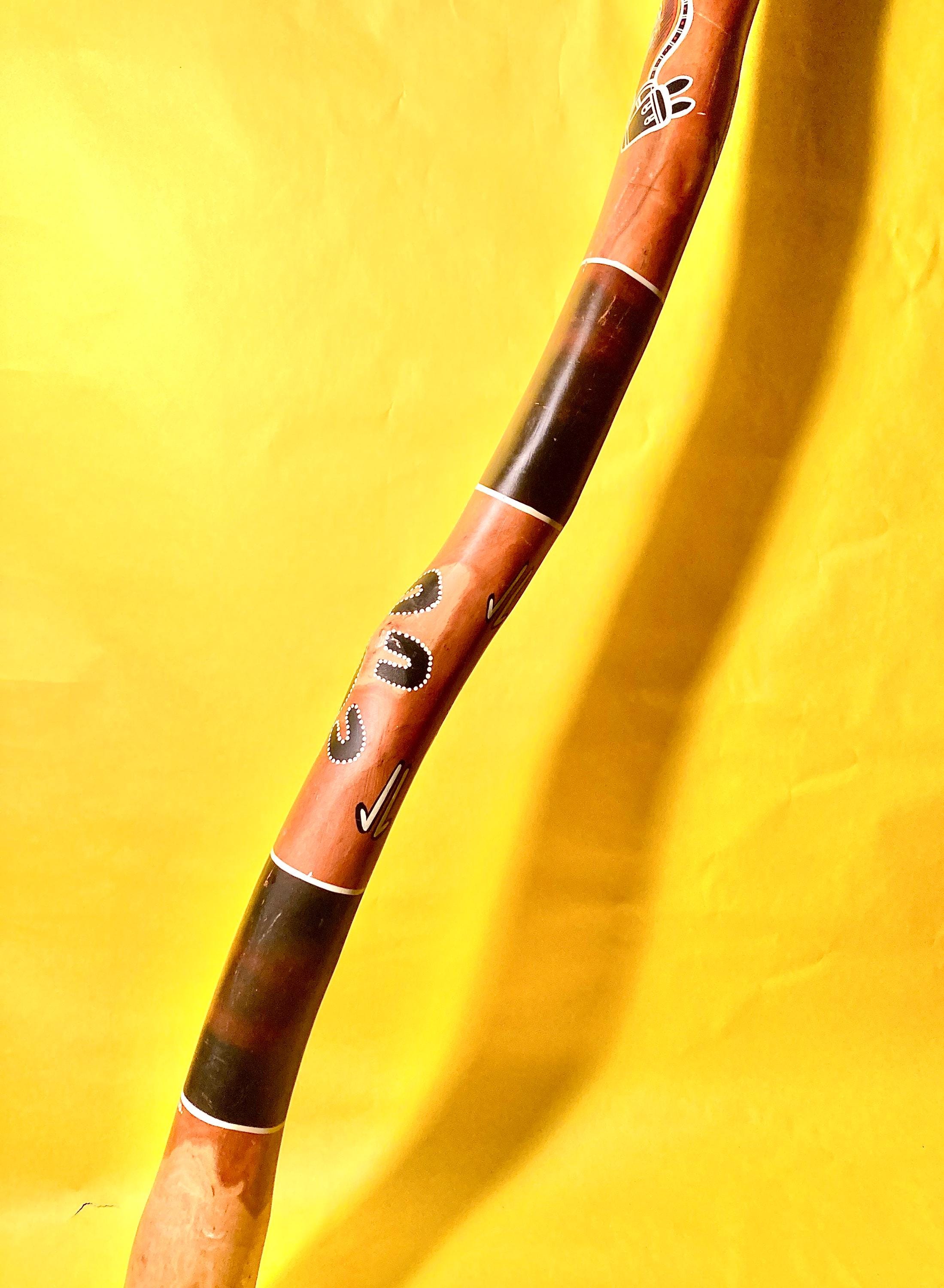 ディジュリジュ ビジュービッグシュシュ Darich – 管楽器・吹奏楽器