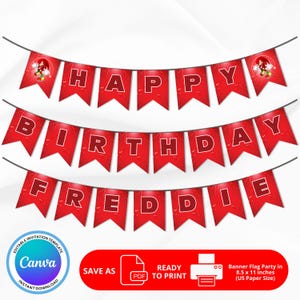 May include: Red and white banner with the text "HAPPY BIRTHDAY FREDDIE" in a red, textured font. The banner is decorated with a cartoon character from the Sonic the Hedgehog video game series.