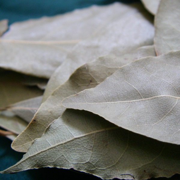 Bay Leaves - ORGANIC - Chai, Indian Cuisine, European, TexMex, Central and South American recipes, Stocks, Digestion - 25g