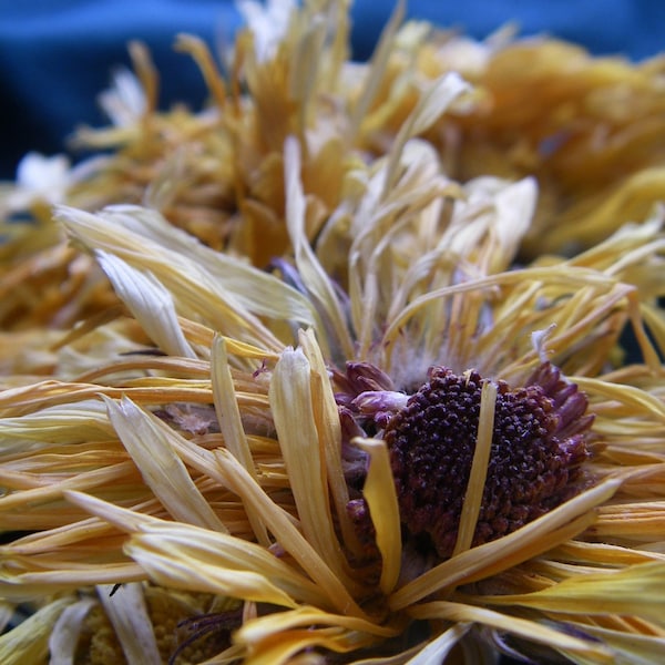 Calendula (Marigold) flowers - ORGANIC - Blond Hair, Safe Yellow Dye - 50g