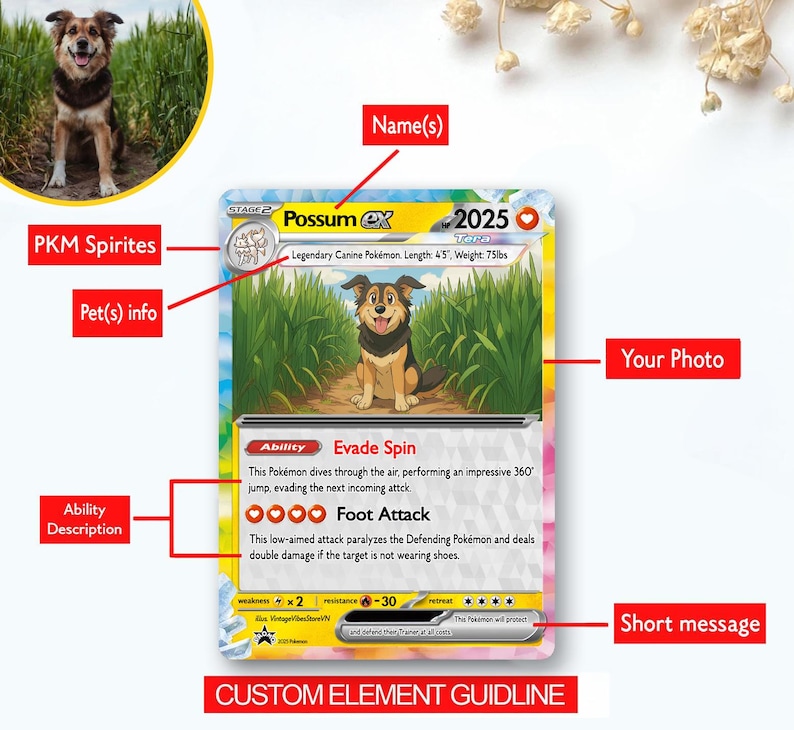 K&ouml;nnte beinhalten: Eine personalisierte Sammelkarte im Pok&eacute;mon-Stil mit einer Hundeillustration mit der Bezeichnung "Possum EX". Die Karte enth&auml;lt das Foto des Hundes, seine Werte und F&auml;higkeiten: "Evade Spin" und "Foot Attack". Der Text der Karte lautet "Legend&auml;res Hunde-Pok&eacute;mon. L&auml;nge: 135 cm, Gewicht: 34 kg."