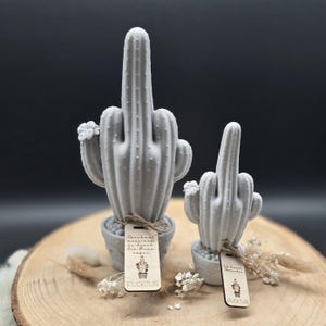 Kaktus dekoration - Etsy.de