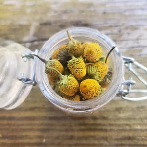 May include: A small, clear glass jar with a metal swing-top closure, filled with dried yellow chamomile flower heads. The jar is open, revealing the textured, rounded, and golden-yellow botanical contents inside the transparent glass container.