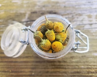 May include: A small, clear glass jar with a metal swing-top closure, filled with dried yellow chamomile flower heads. The jar is open, revealing the textured, rounded, and golden-yellow botanical contents inside the transparent glass container.