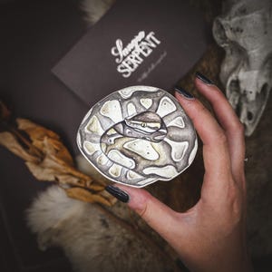 Op de afbeelding: Een cirkelvormige aquarelillustratie van een opgerolde slang, met een gedetailleerd patroon van grijs, wit en bruin. De kop van de slang is zichtbaar, met een gele oog. De afbeelding wordt vastgehouden door een hand met zwarte nagellak, met een visitekaartje "Savage Serpent".