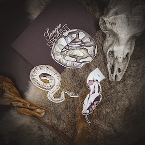 Könnte beinhalten: Ein künstlerisches Arrangement mit drei Aquarell-Schlangenillustrationen, einem Schädel und einer braunen Karte mit dem Text "Sangre Serpent". Die Schlangen zeigen detaillierte Muster und Farben, jede in einer anderen Pose.