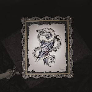 Snake & crow - "Tangled"