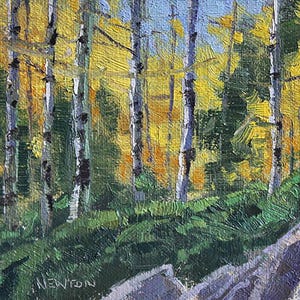 Aspens & Rocks, Rocky Mountain National Park, Colorado, original oil painting.