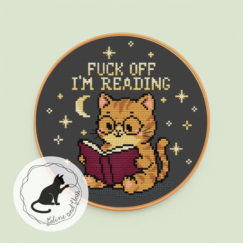 A cross stitch pattern of a cute ginger cat reading a book, with the wording ‘Fuck off I’m reading!’
