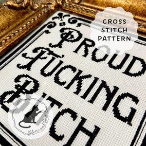 Proud F*cking B*tch kruissteekpatroon (direct downloadbare pdf), kruissteekpatroon politiek protest