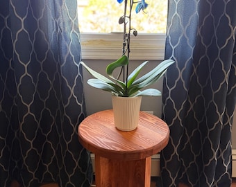 Handcrafted Wood Side Table: Rustic Modern Plant Stand