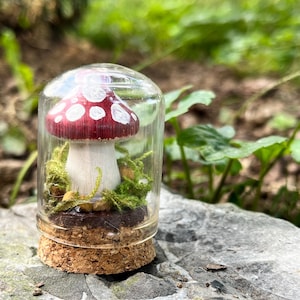 Tiny Mushroom Terrarium