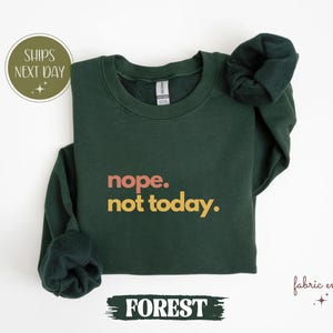 Nope Not Today Sweatshirt, Sarcastic Shirt, Funny Graphic Tee, Sarcastic Gift, Sarcasm Lover Shirt, Funny Adult Shirt, Gift For Lazy Friend