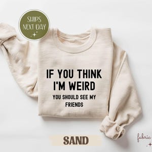 Lustiges Shirt für Freunde, lustiges Freundschafts-T-Shirt, sarkastisches Freundschafts-T-Shirt, lustiges Freunde-T-Shirt