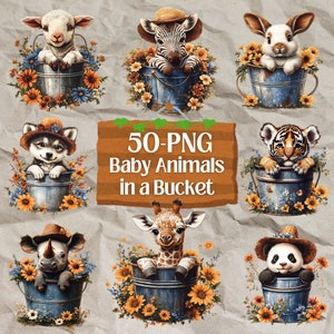Ensemble de bébés animaux dans un seau | Animaux sauvages mignons au format 50 PNG, parfaits pour les autocollants, la fabrication de cartes, l'impression, la création numérique sur papier, les albums de coupures