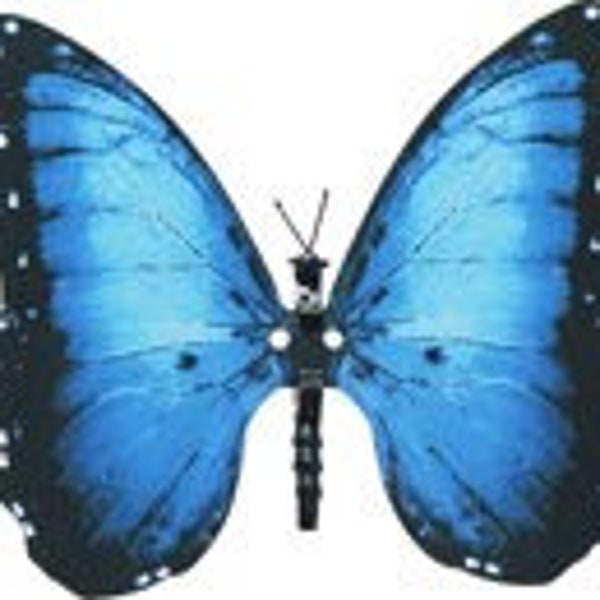 Aliforms "Blue Morpho" Moving Butterfly